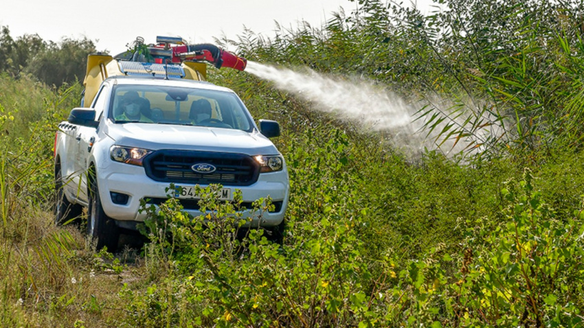 Tareas de fumigación contra el mosquito trasmisor de la fiebre del Nilo en la zona de Coria del Río (Sevilla)