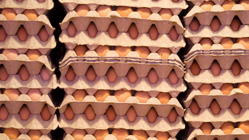 Imagen de recurso de varios cartones de huevos