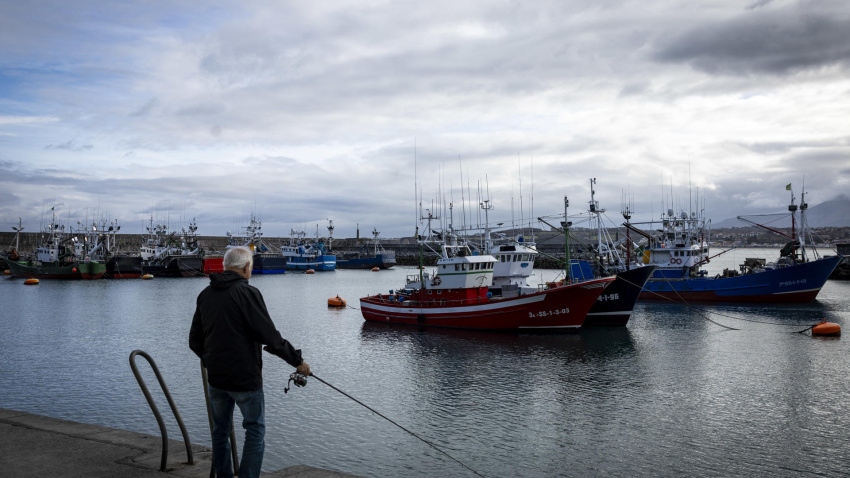 Pesqueros de bajura amarrados en el puerto de Hondarribia (Gipuzkoa)