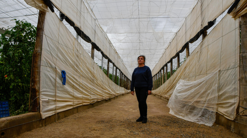 Una mujer agricultora en El Ejido (Almería)
