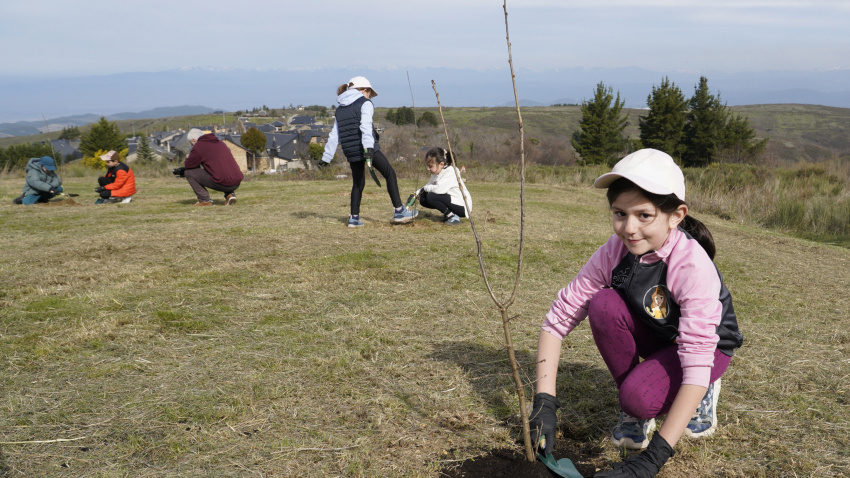 Iniciativa 'Guardianes del Bosque', con la plantación de árboles en zonas afectadas por los incendios en El Bierzo (León)