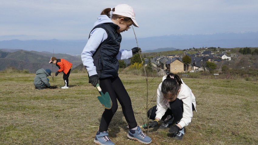Iniciativa 'Guardianes del Bosque', con la plantación de árboles en zonas afectadas por los incendios en El Bierzo (León)