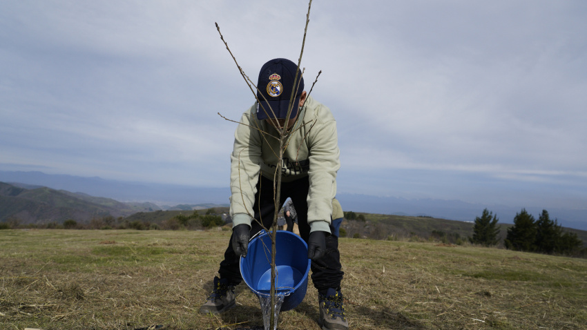 Iniciativa 'Guardianes del Bosque', con la plantación de árboles en zonas afectadas por los incendios en El Bierzo (León)