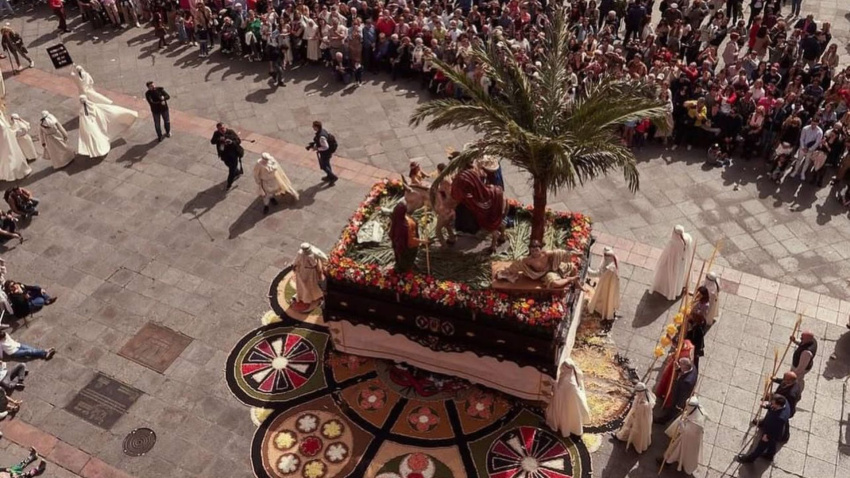 La borriquita de Salamanca pasando por encima de una de las alfombras de flores
