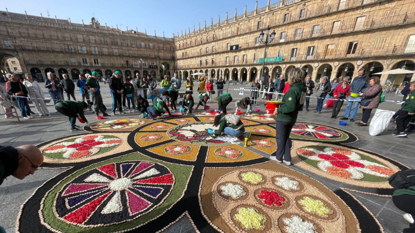 Preparación de una alfombra floral
