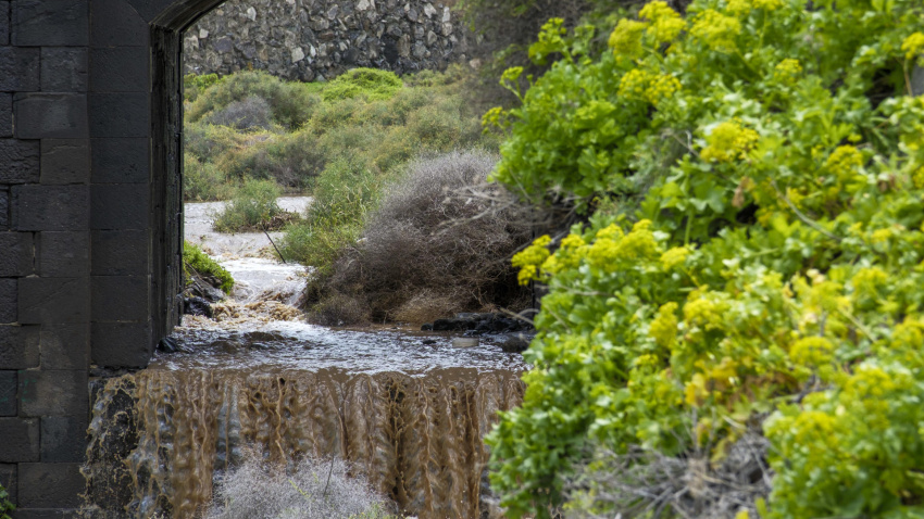EFE/Ángel Medina G.