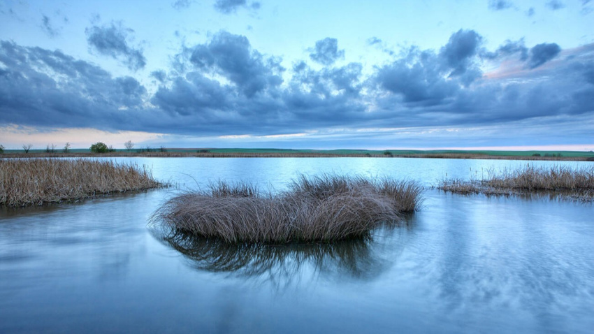 Laguna de La Nava (Palencia)