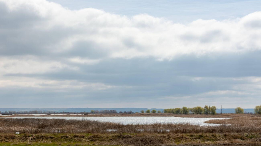 Laguna de La Nava (Palencia)