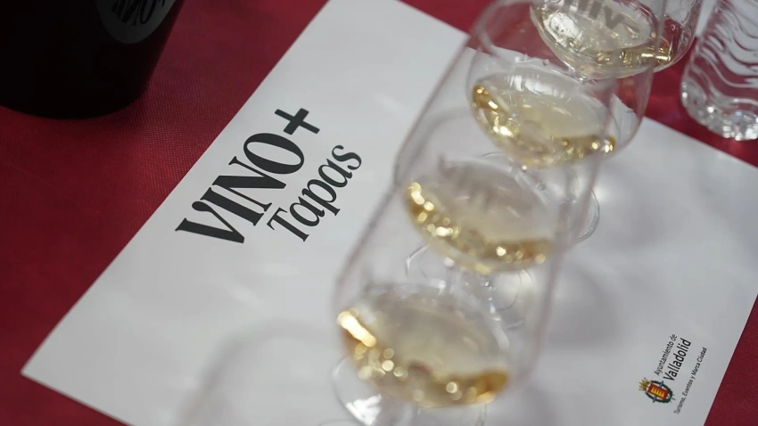 Vino + tapas en Valladolid