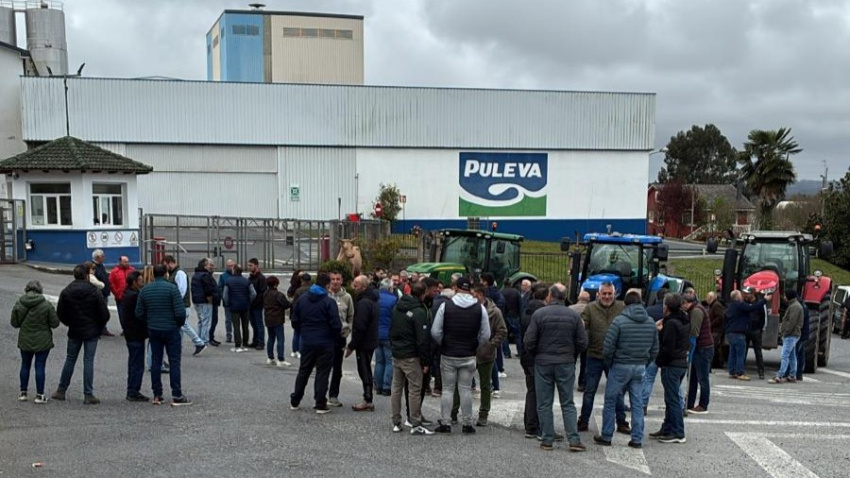 Un grupo de ganaderos se concentró este miércoles ante la fábrica de Puleva, en Nadela, para expresar su malestar por la rebaja del precio de la leche en origen