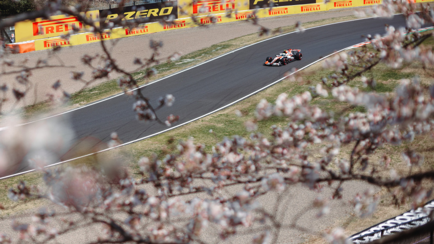 Cerezos en flor en la legendaria pista de Suzuka, donde se disputa el GP de Japón.