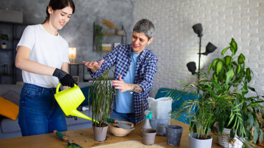 Suegra y Nuera cuidando de las plantas