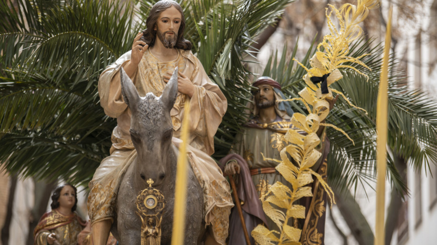 Hermandad de las Palmas en el Domingo de-Ramos de Ciudad Real