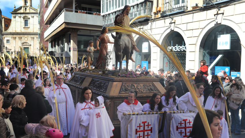Procesión de la Borriquilla el Domingo de Ramos en Palencia