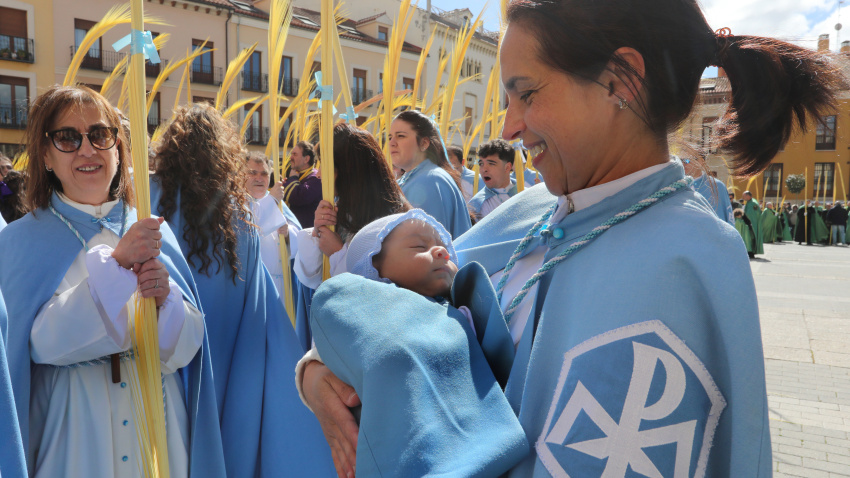 Procesión de la Borriquilla el Domingo de Ramos en Palencia