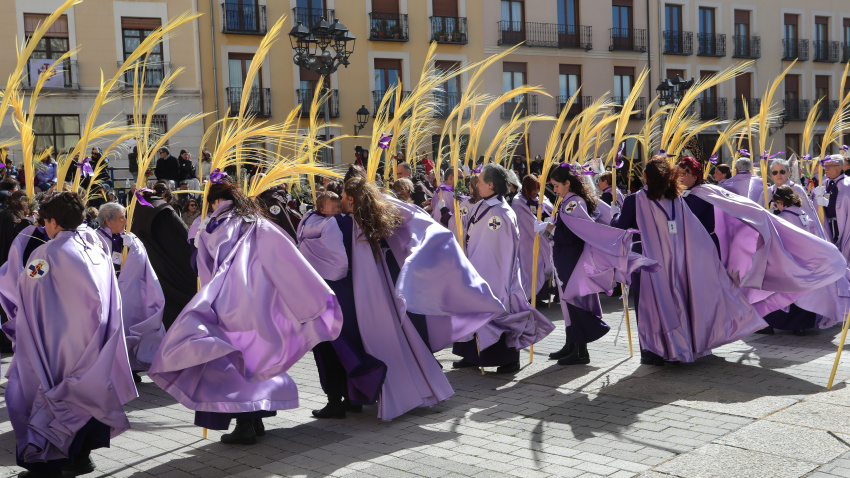 Procesión de la Borriquilla el Domingo de Ramos en Palencia