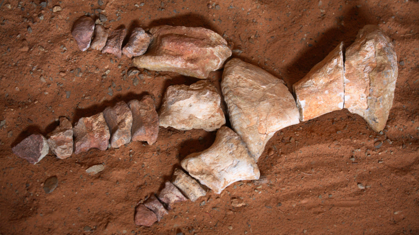 Imagen de recurso de restos de dinosaurios en el desierto de Gobi