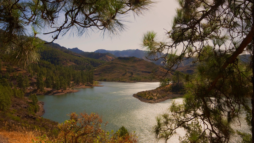 Carmelo Santana gerente del Consejo Insular de Aguas de Gran Canaria.