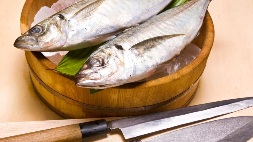 Sarda, caballa o verdel