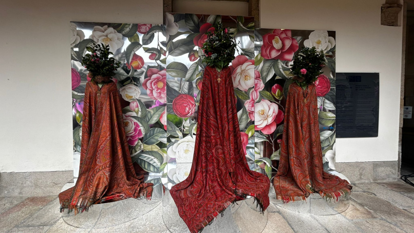 Exposición Camelias flor de Galicia