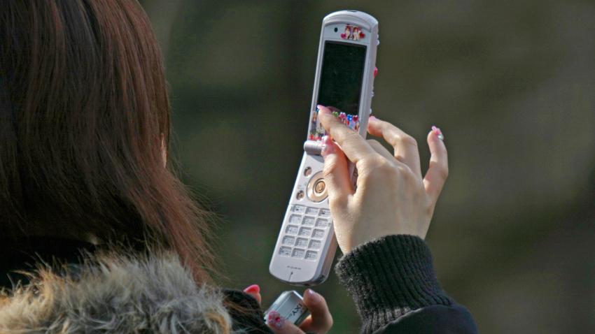 ARXRMY A lady is to photograph using her built in camera mobile phone in the Zoo