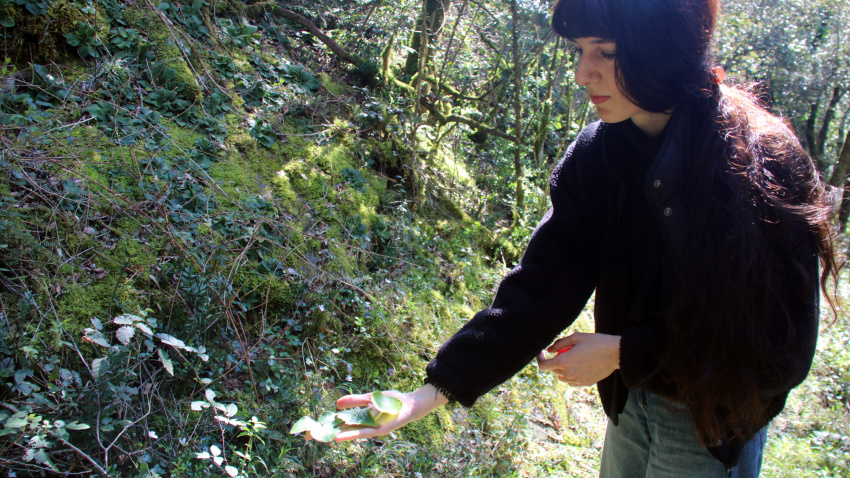 Bea Andrés advierte sobre los riesgos de usar plantas sin conocimiento y defiende la necesidad de ponerse en manos de profesionales. "Una hierba puede matarte, hacerte pasar un mal rato o también curarte"