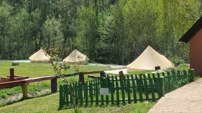 AventuraDogs llega a El Bierzo (León): el retiro para conectar con tu perro en plena naturaleza