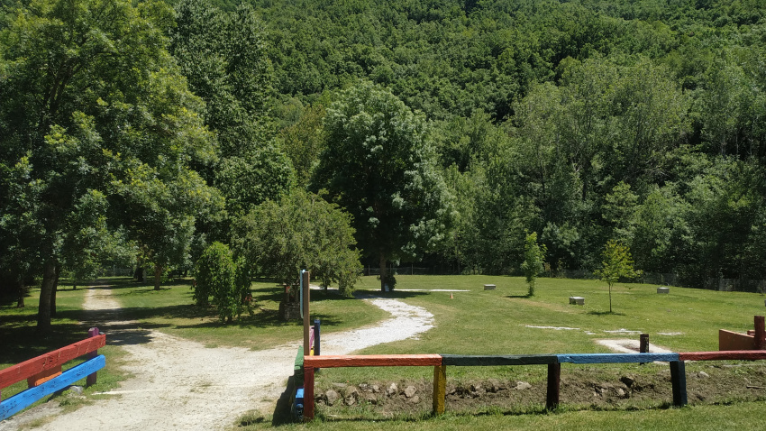 AventuraDogs llega a El Bierzo (León): el retiro para conectar con tu perro en plena naturaleza