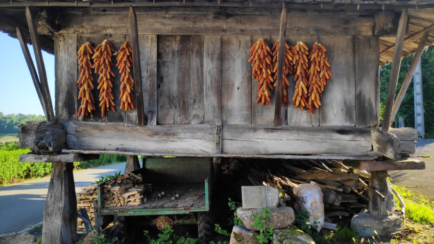 Los hórreos: construcciones que pueblan el paisaje rural