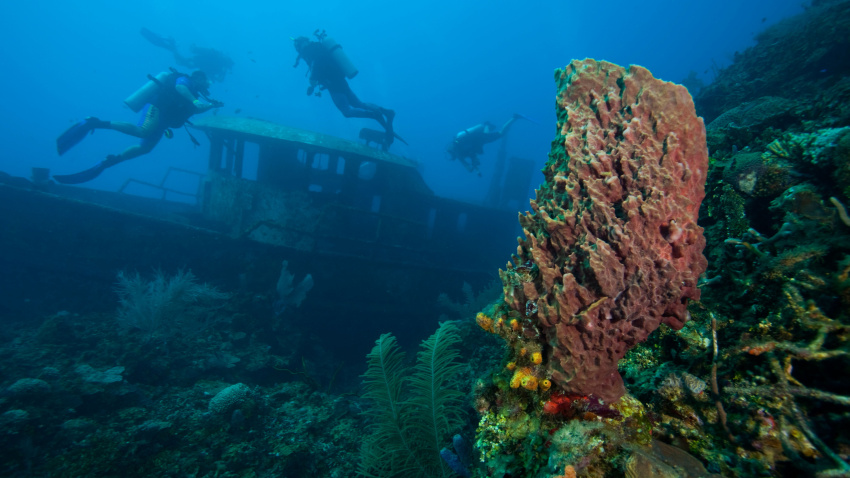Naufragio, Parque Marino de Roatán, Buceo en el Caribe, Roatán, Islas de la Bahía, Honduras, Centroamérica
