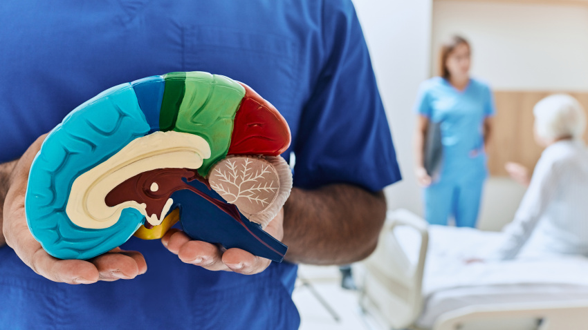 Recovery of elderly woman after stroke in hospital room with doctor and nurse. Neurologist holding anatomical model of human brain, conceptual image