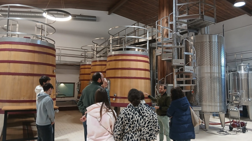 Bodega experimental en la Escuela de Agrónomos de Ciudad Real