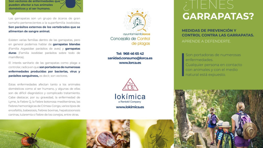 Folleto informativo lanzado por la concejalía de Sanidad del Ayuntamiento de Lorca