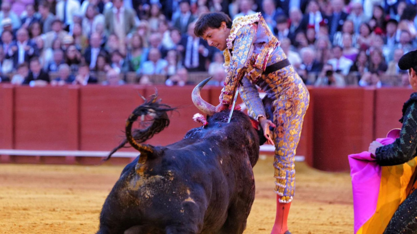 El momento de la cornada que recibió el diestro peruano Roca Rey en La Maestranza durante la Feria de Abril
