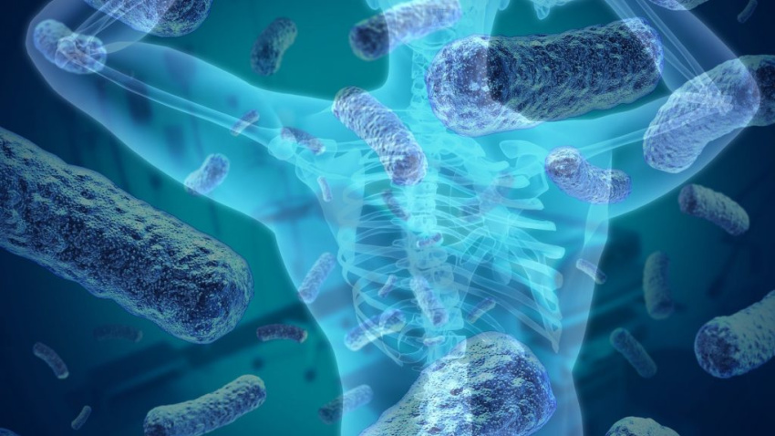 La microbiota puede influir en nuestro bienestar