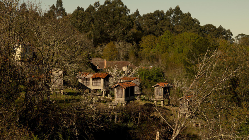 Vista de un grupo de hórreos en la aldea de Paredes, en Leiro (Ourense)