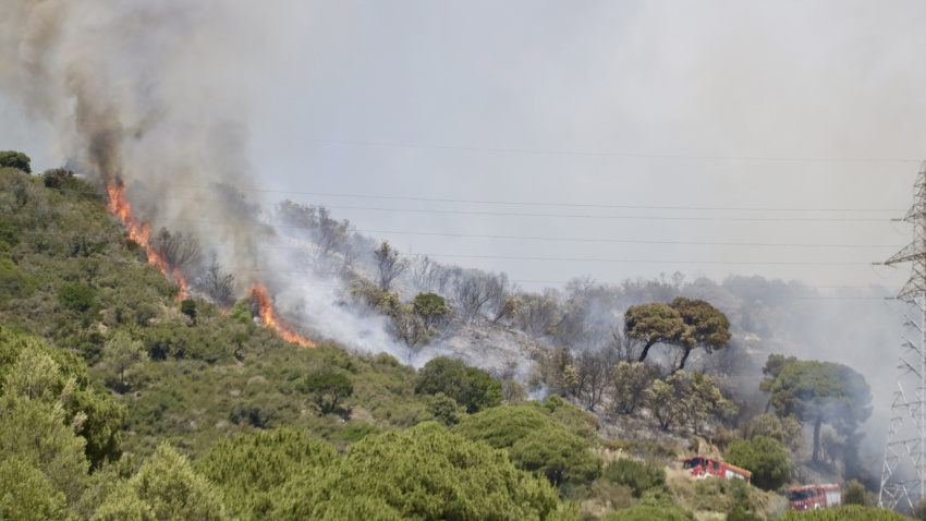 Incendi Tiana