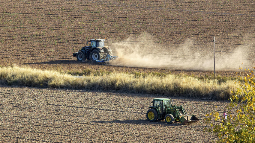 José Vicente Andreu, presidente de la organización agraria ASAJA en Alicante: "Las continuas olas de calor, con temperaturas anómalas y un alto grado de humedad, están llevando a las plantas a una situación límite".