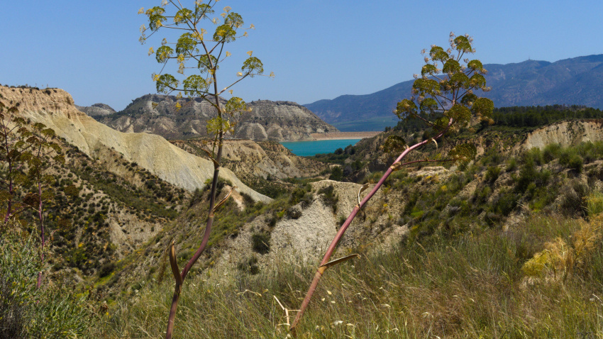 Impresionante paisaje de tierras baldías y un lago artificial en Librilla, Murcia.