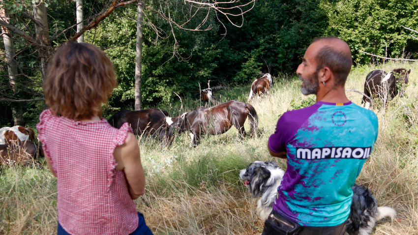 Rosa Galindo y Agustí Porta, observando el rebaño de caballos pottoka mientras pasto.