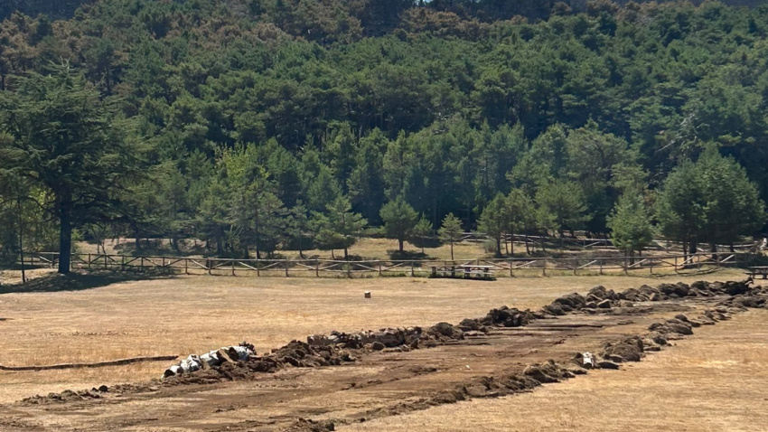 En su fase final, el incendio requiere de labores de vigilancia