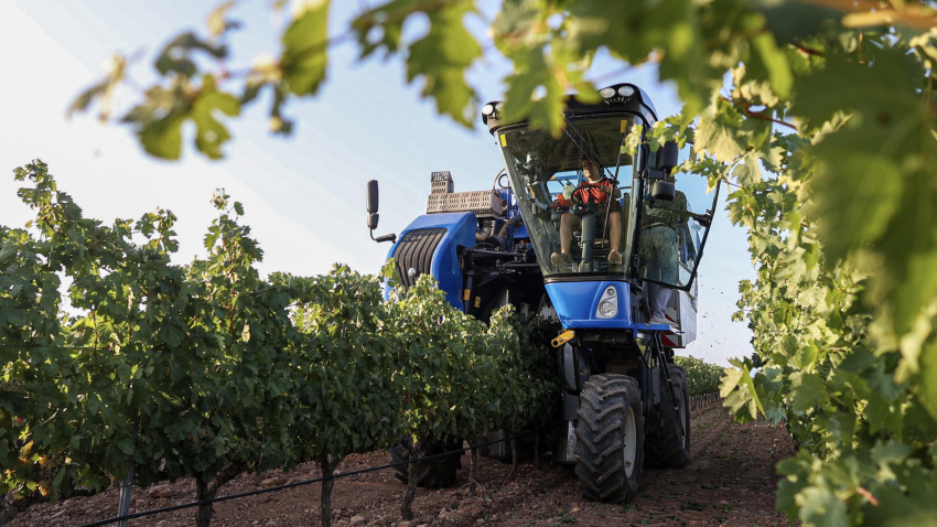 Un tractor recogiendo uva en La Rioja