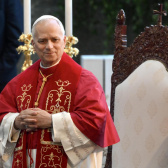 león xiv. año 1 thumb