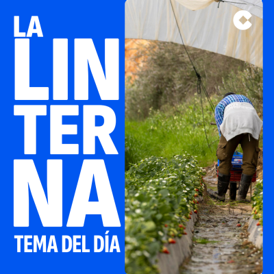 ¿Cómo podría afectar el temporal a la cesta de la compra?