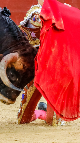 Plaza de Toros, quinta de abono