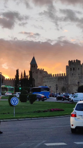 Policía Local de Toledo