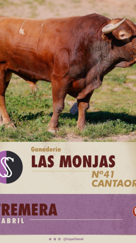 Toro de Las Monjas para Estremera