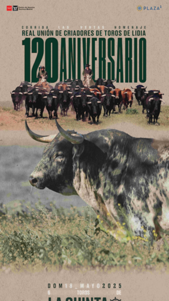 Detalle del cartel conmemorativo del 120 anivesario de la RUCTL