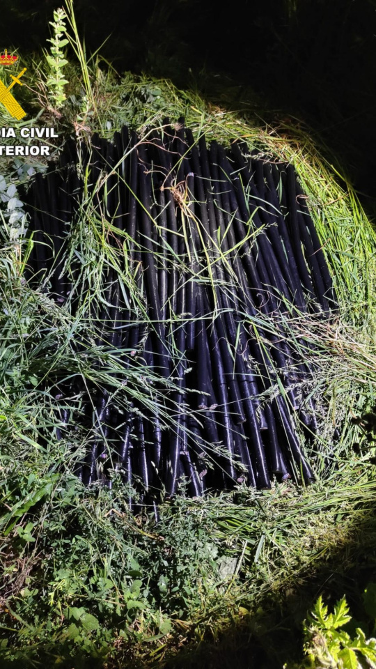 Imagen del cable robado oculto entre la maleza