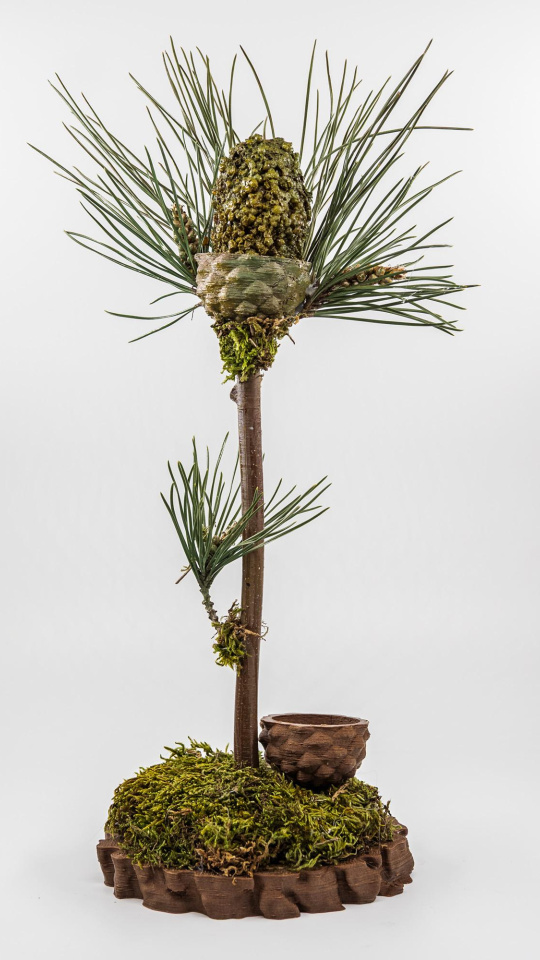 Azul Mediterráneo con su tapa “Principino” se proclama ganador del XXVII Concurso Provincial de Pinchos de Valladolid